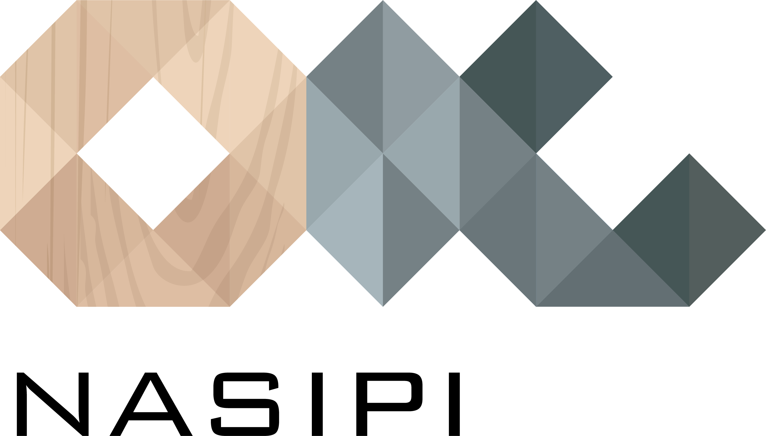 OIC Nasipi_logotip-01